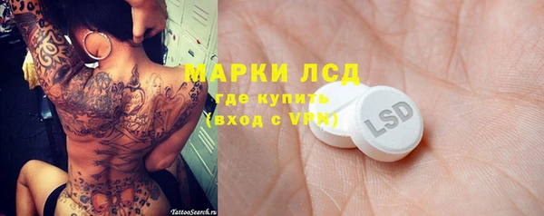 шишки Верея