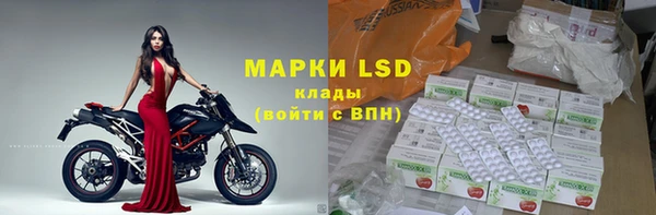 шишки Верея