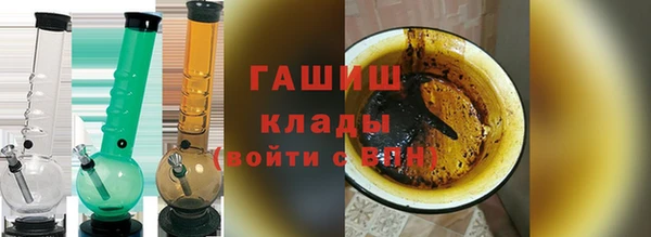 шишки Верея