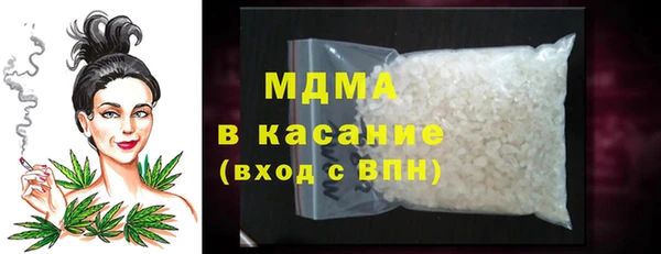 шишки Верея
