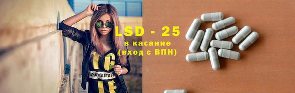 шишки Верея