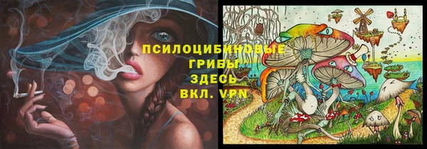 шишки Верея
