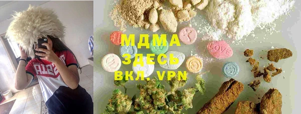 шишки Верея