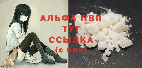 шишки Верея