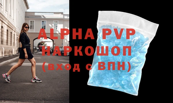 шишки Верея