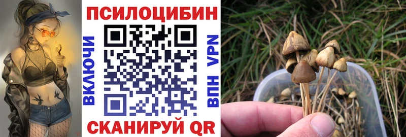 Псилоцибиновые грибы MAGIC MUSHROOMS  купить наркоту  Кимры 